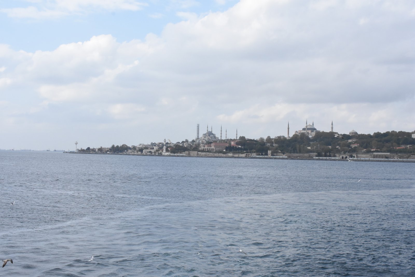 DSC_9340.JPG