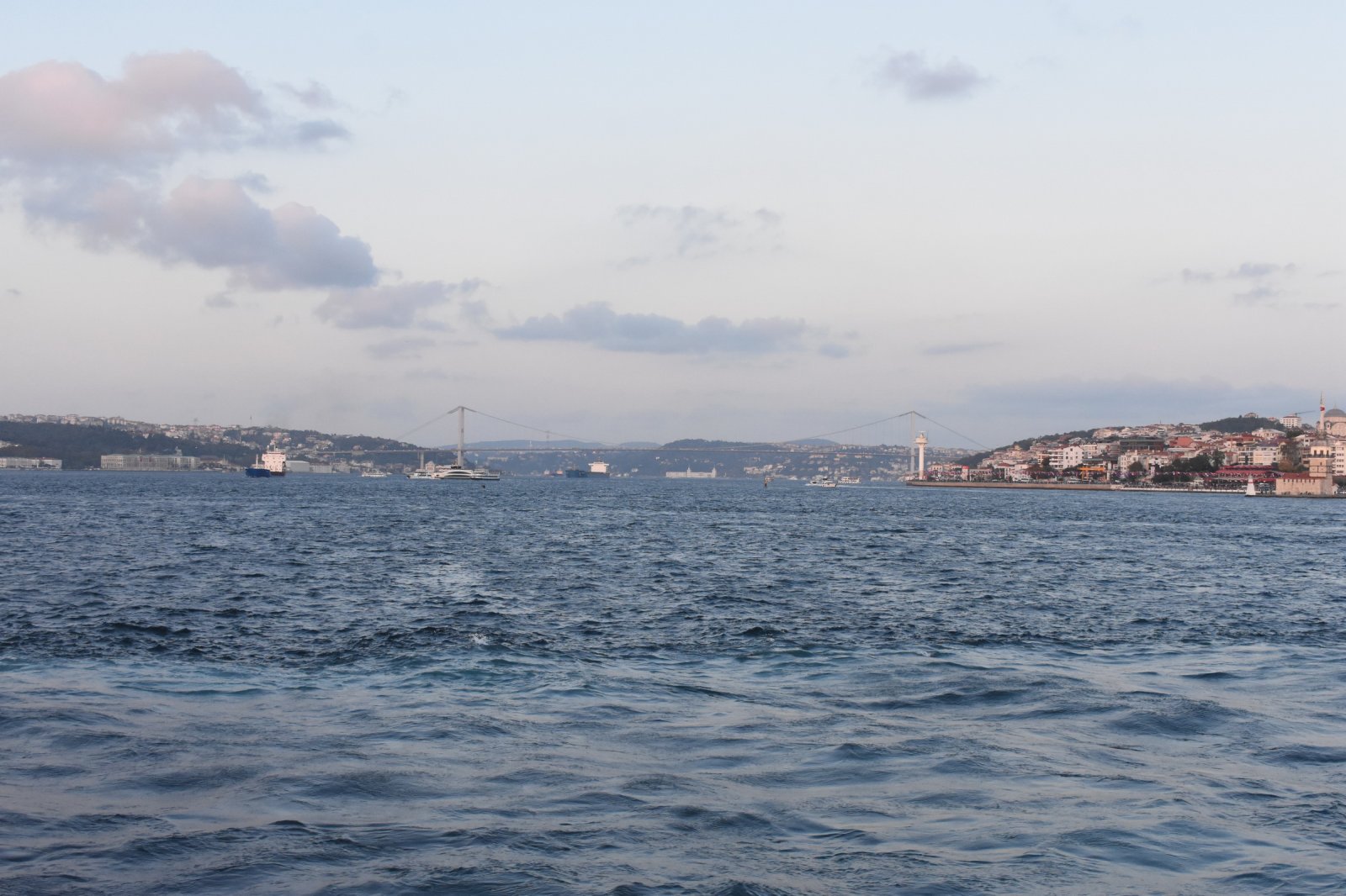 DSC_9533.JPG