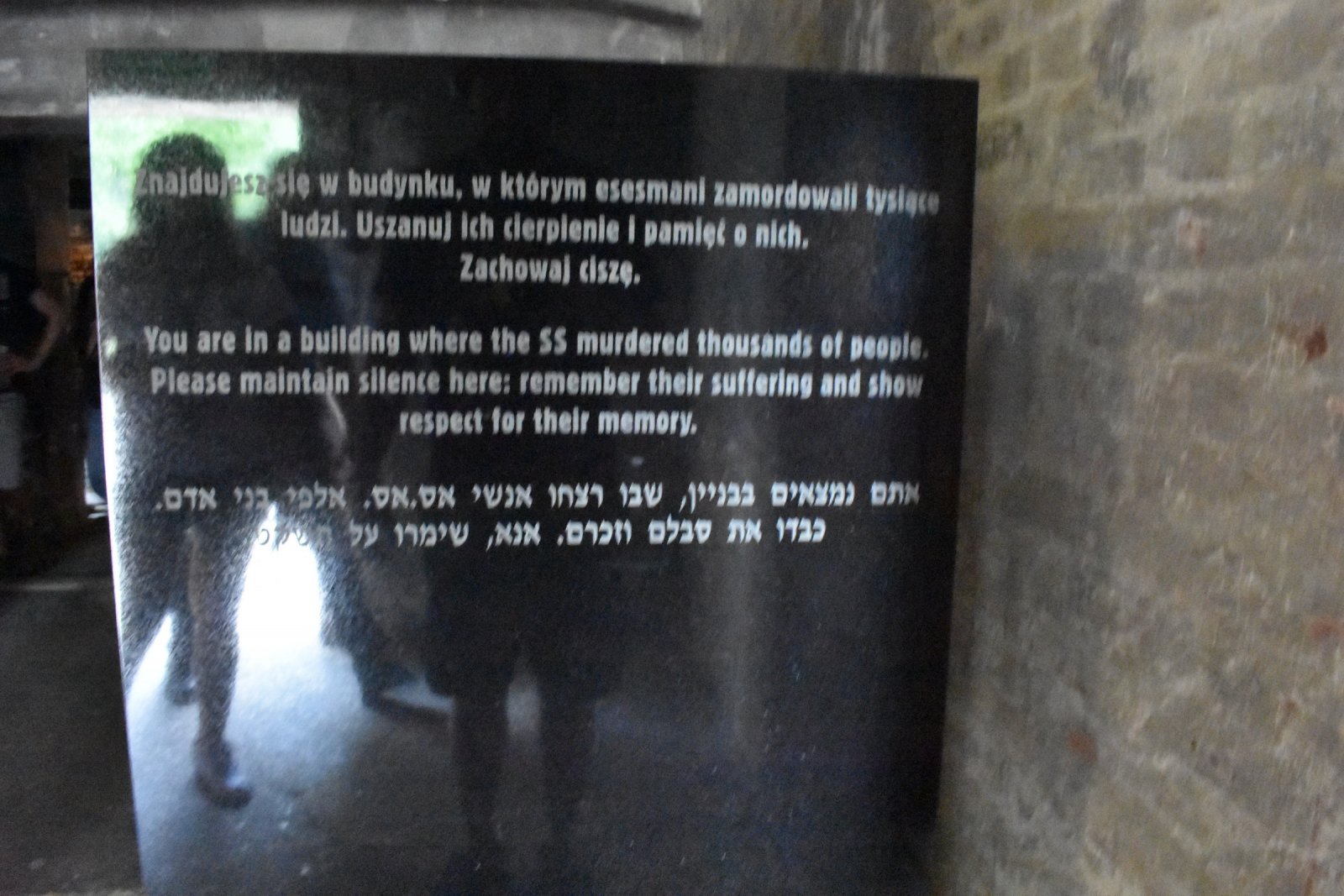 DSC_4825.JPG