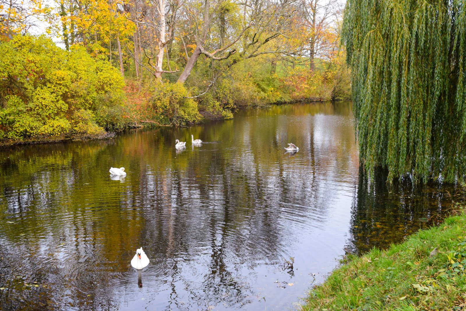 Copenhagen 2019 (412).jpg