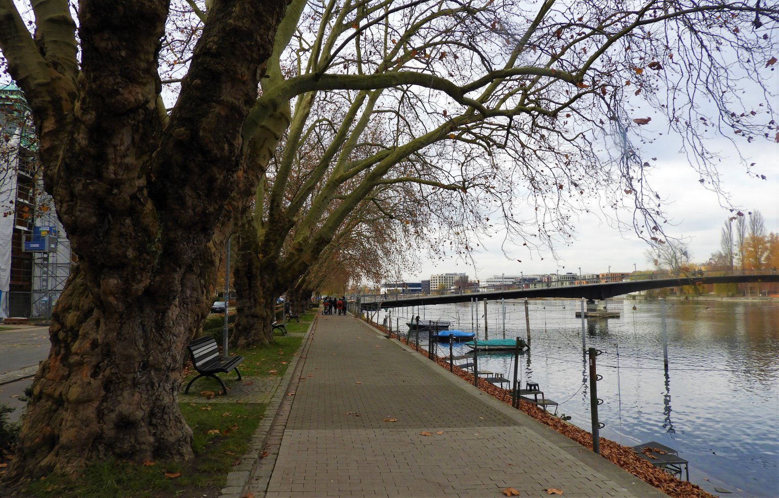 DSCN1543Rhein Promenade.JPG