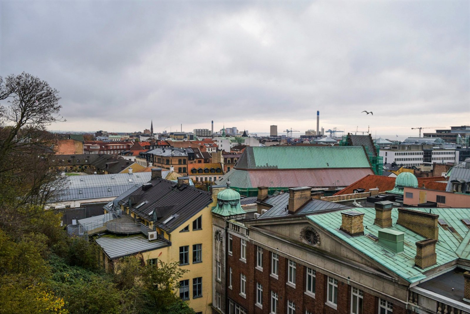 Copenhagen 2019 (1085).jpg