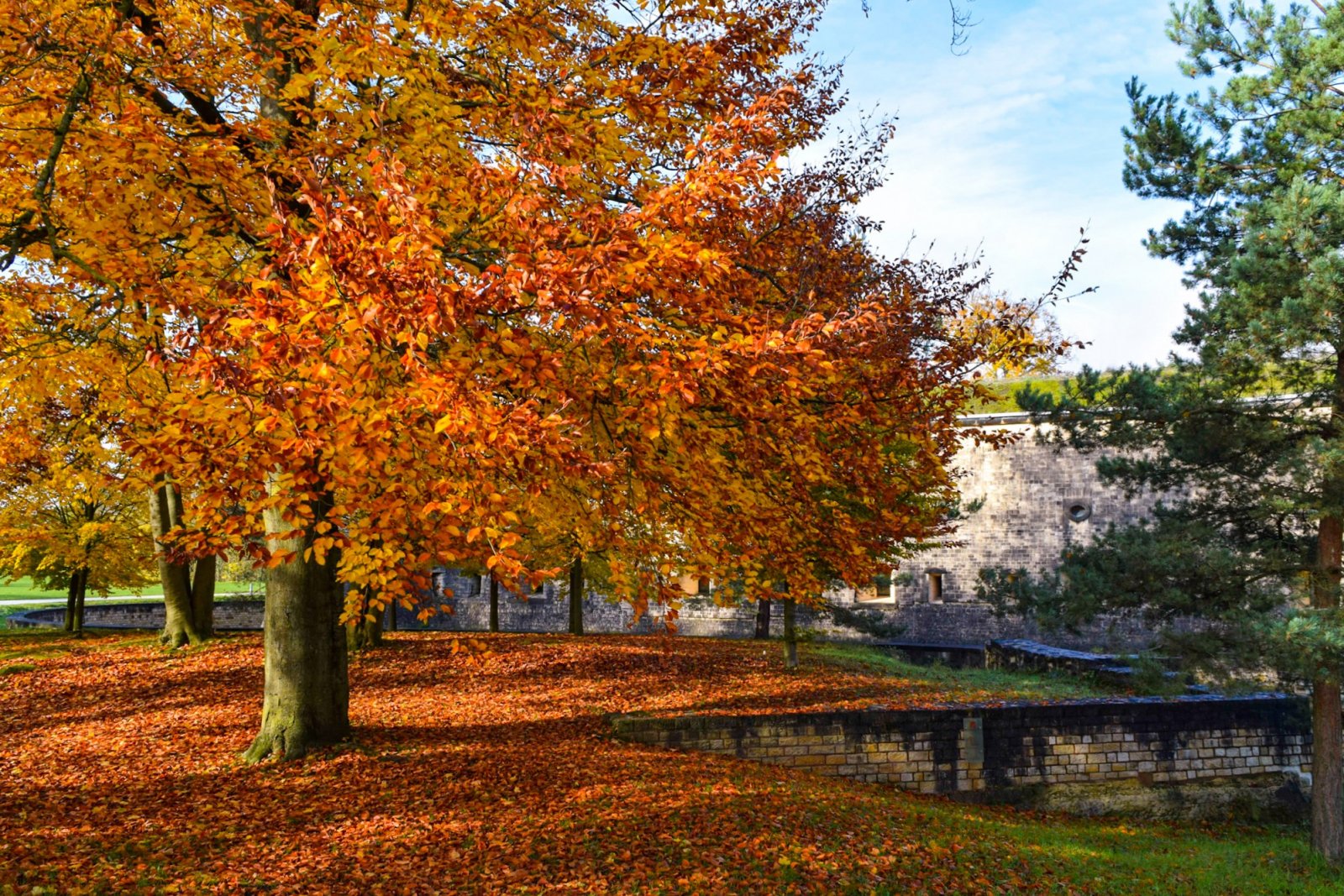 Luxembourg 2019 (334).jpg