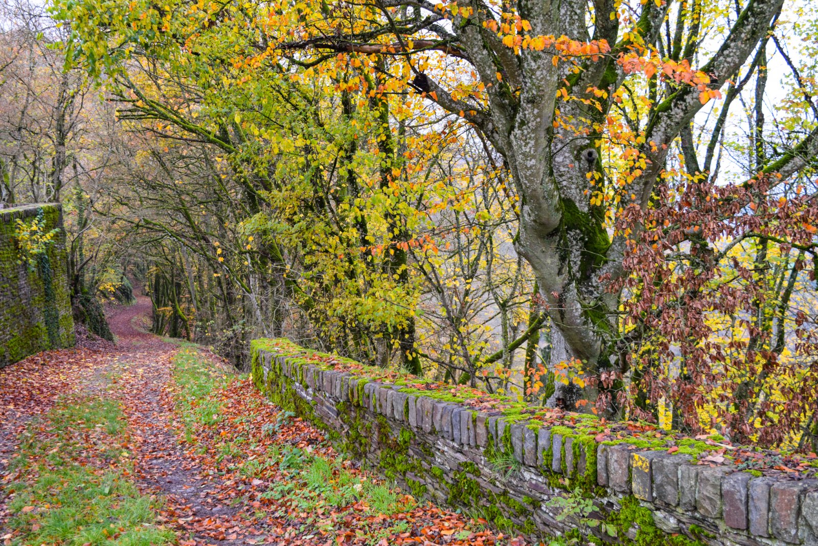 Luxembourg 2019 (834).jpg