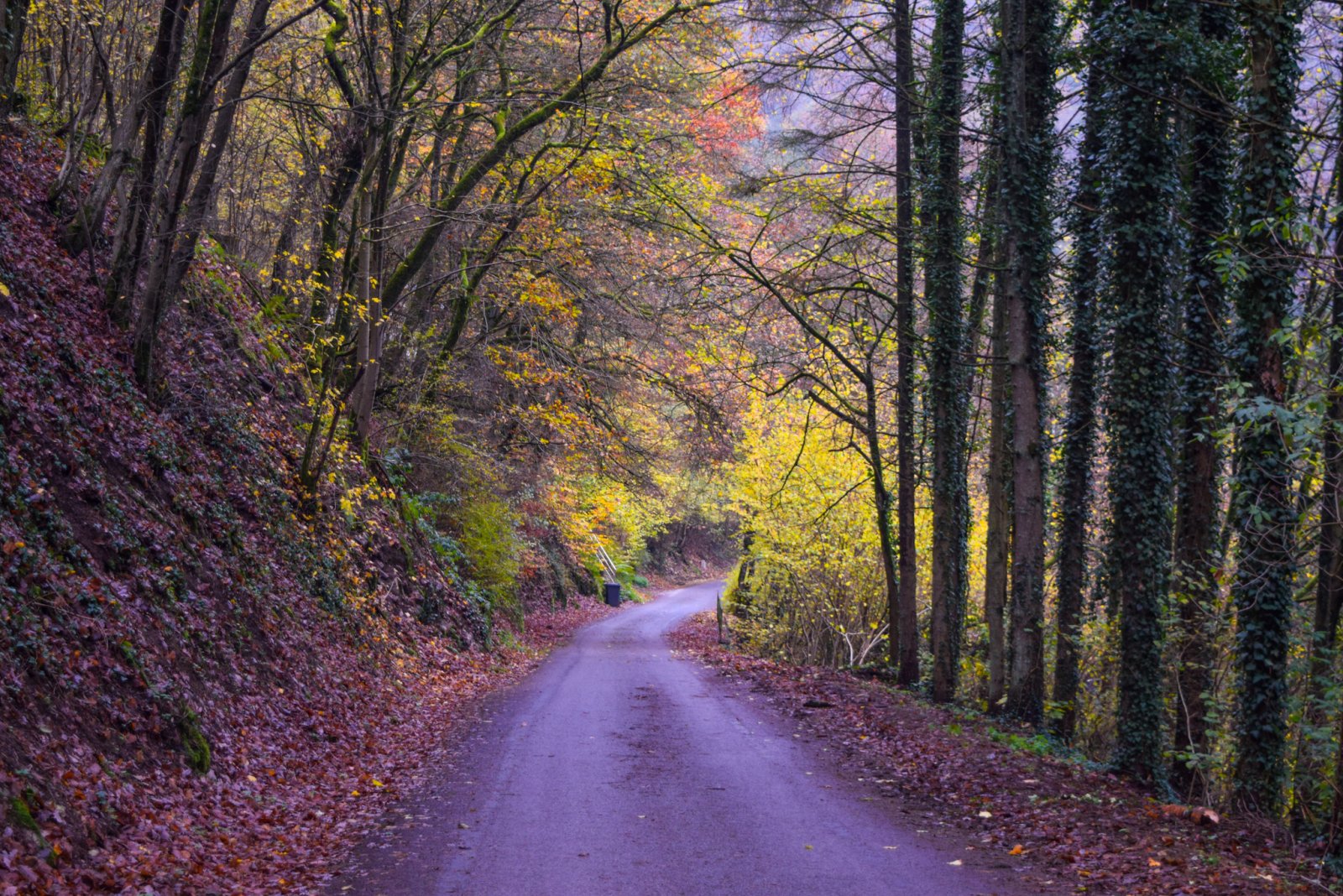 Luxembourg 2019 (658).jpg