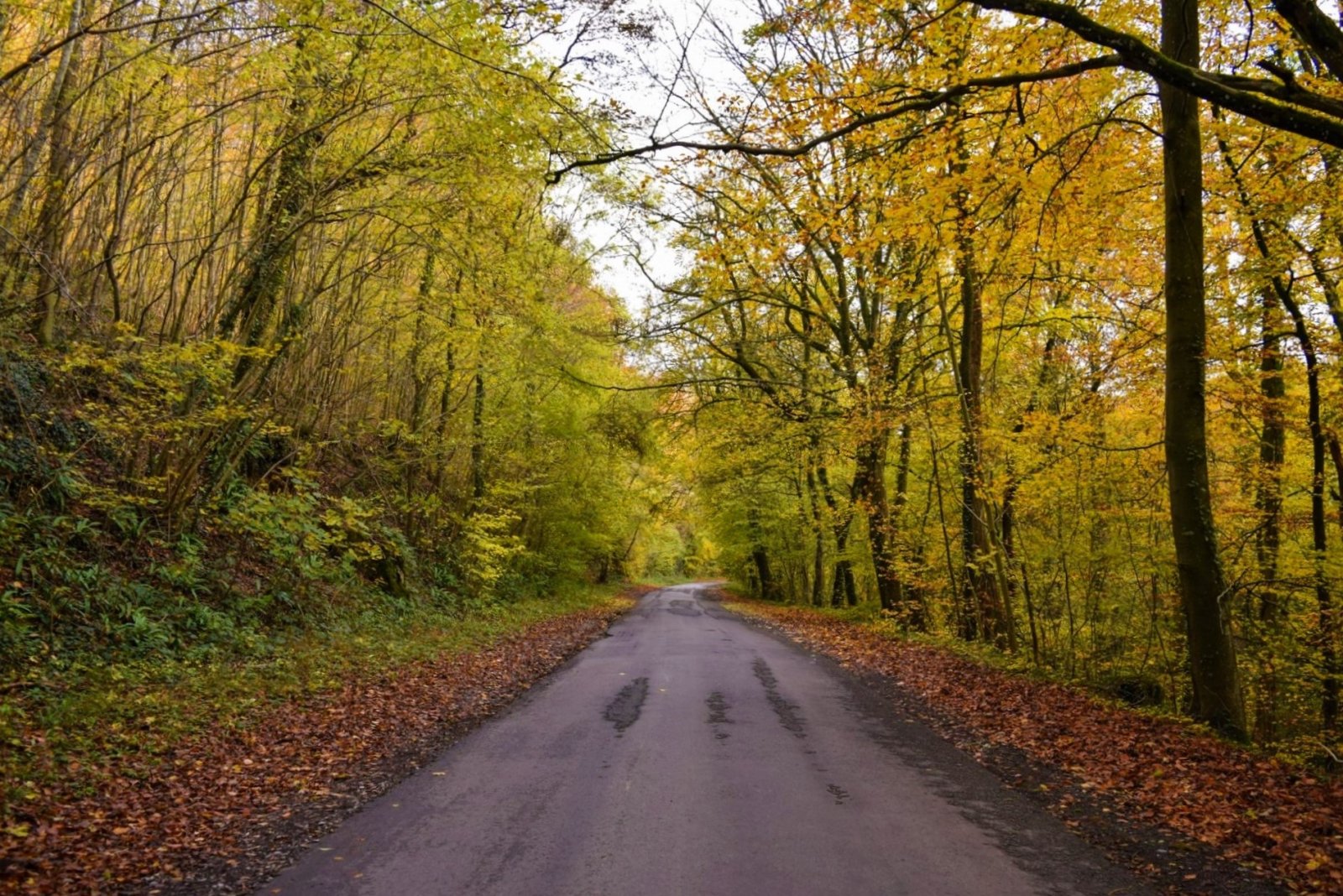 Luxembourg 2019 (199).jpg