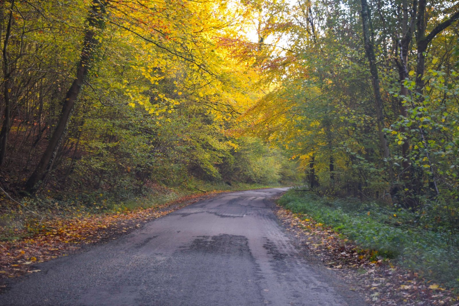 Luxembourg 2019 (189).jpg