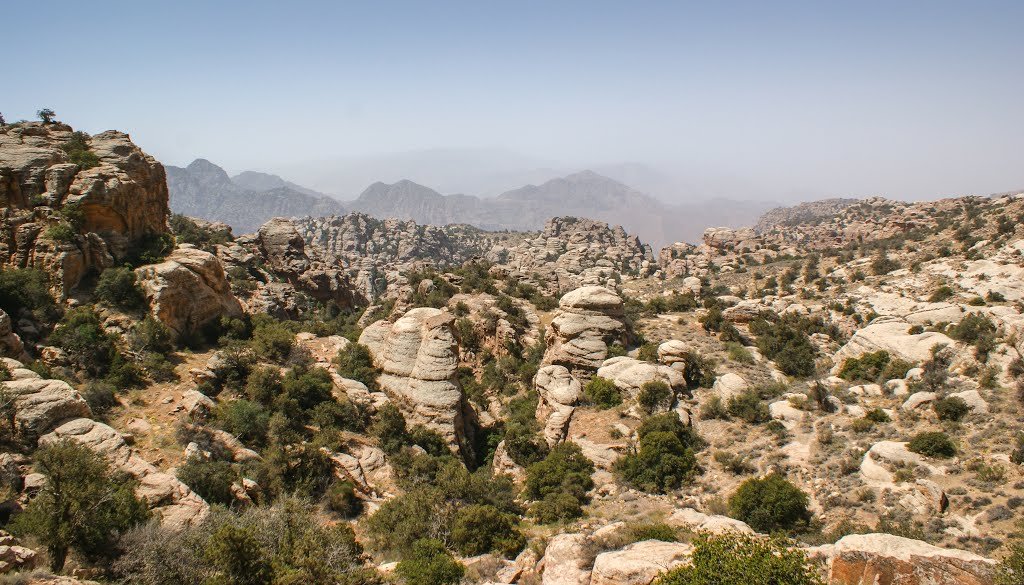 dana-biosphere-reserve-dana.jpg