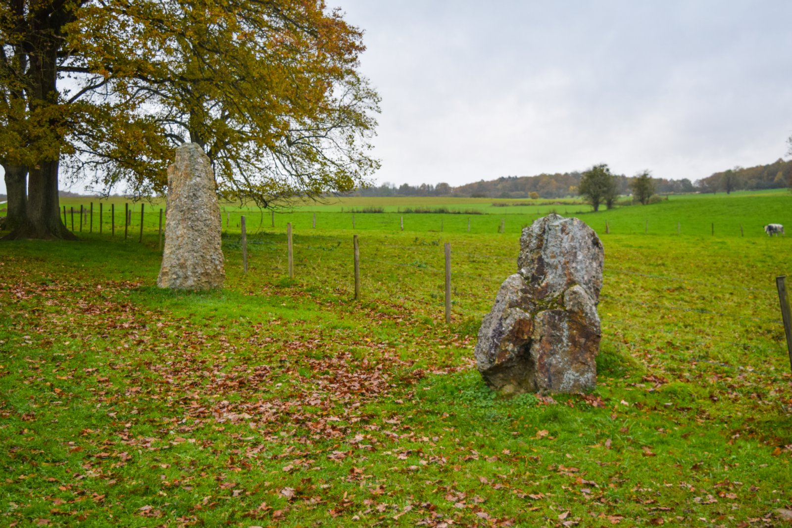 Luxembourg 2019 (912).jpg