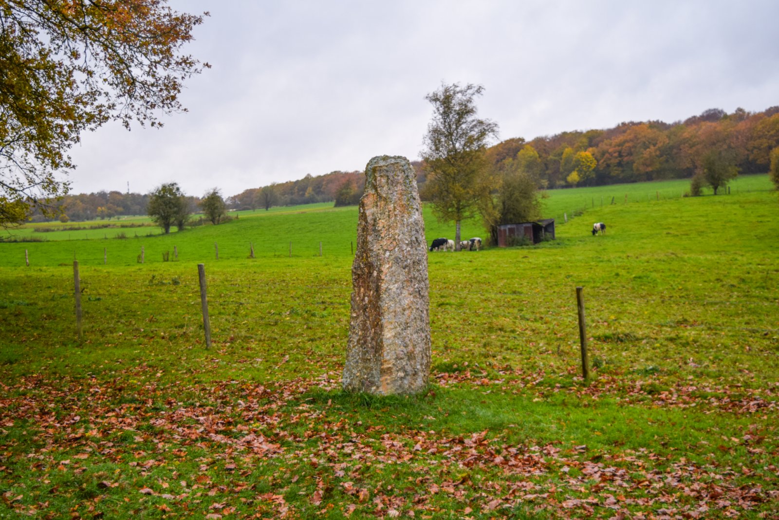 Luxembourg 2019 (913).jpg