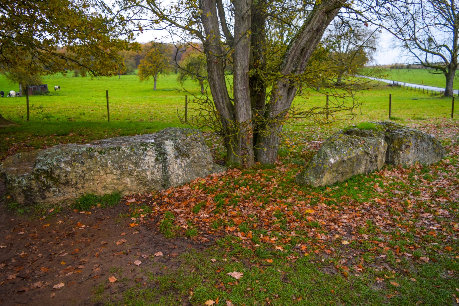 Luxembourg 2019 (917).jpg