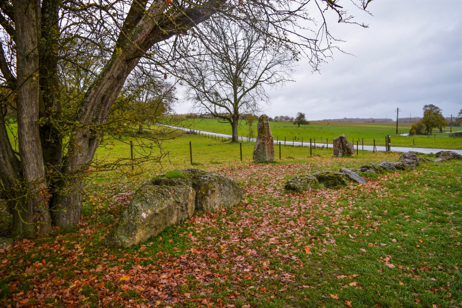 Luxembourg 2019 (918).jpg