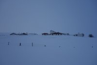 DSC03130.JPG DSC03130.JPG