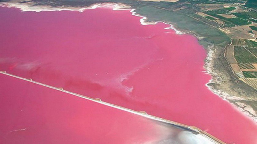 laguna de torrevieja Valencia.jpg