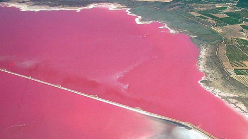 laguna de torrevieja Valencia.jpg