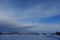 DSC03932.JPG DSC03932.JPG