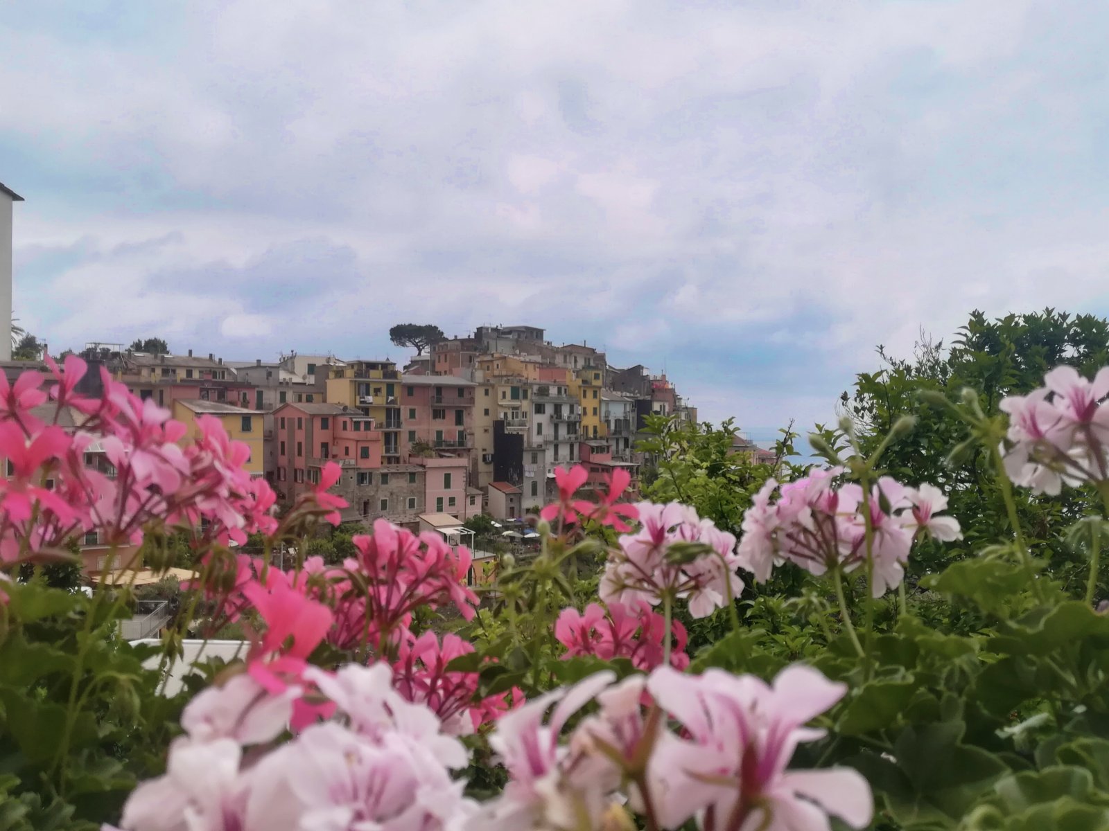 Corniglia 1.jpg