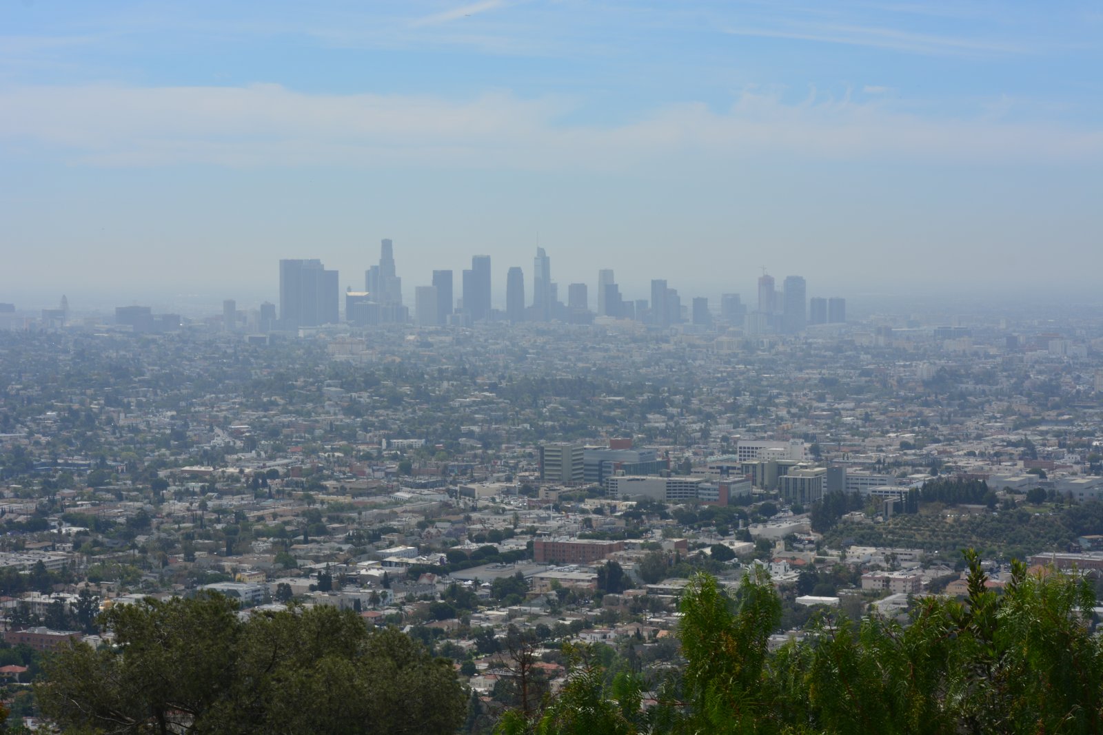 DSC_0929.JPG