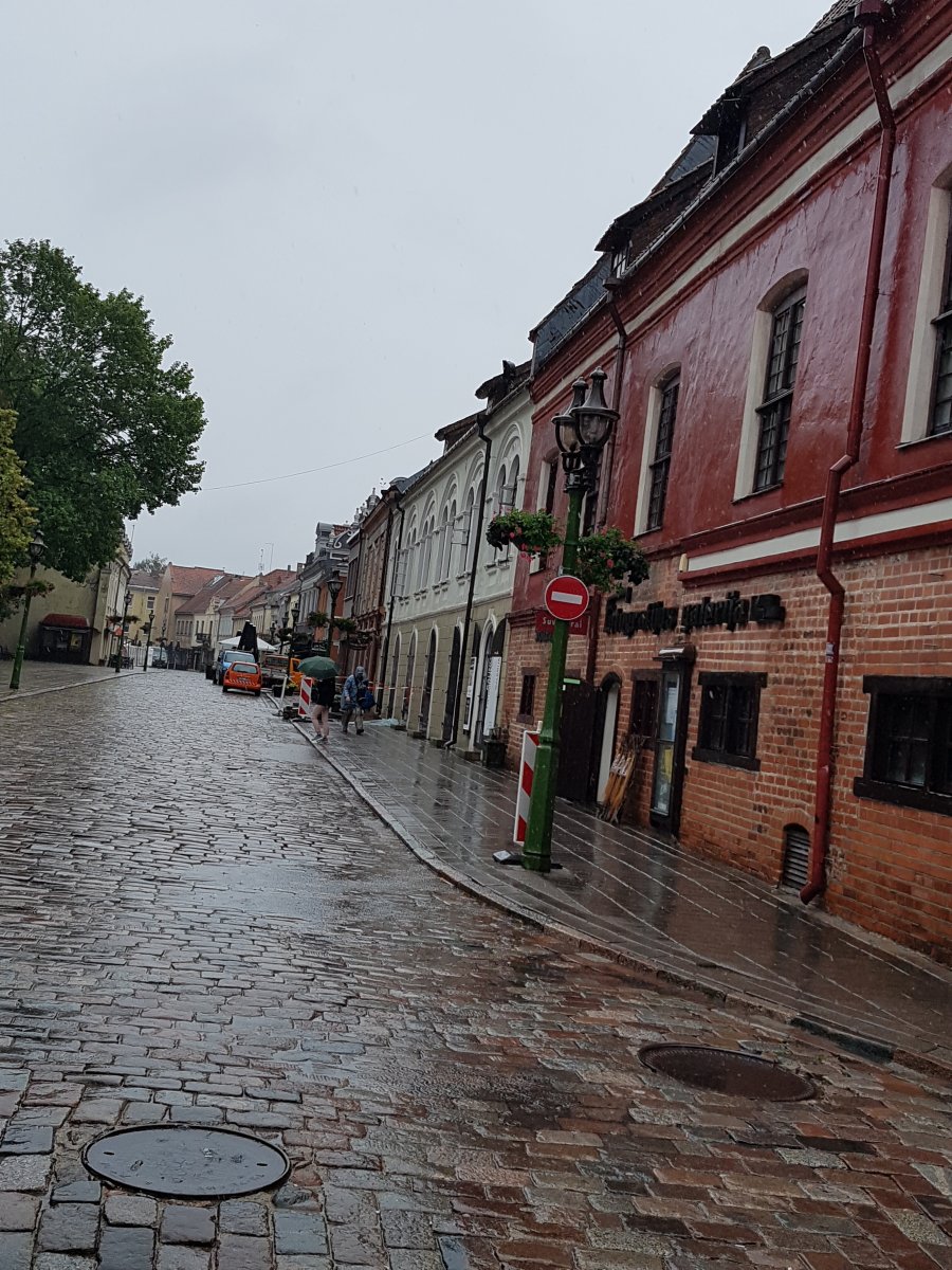 20190821_102231.jpg