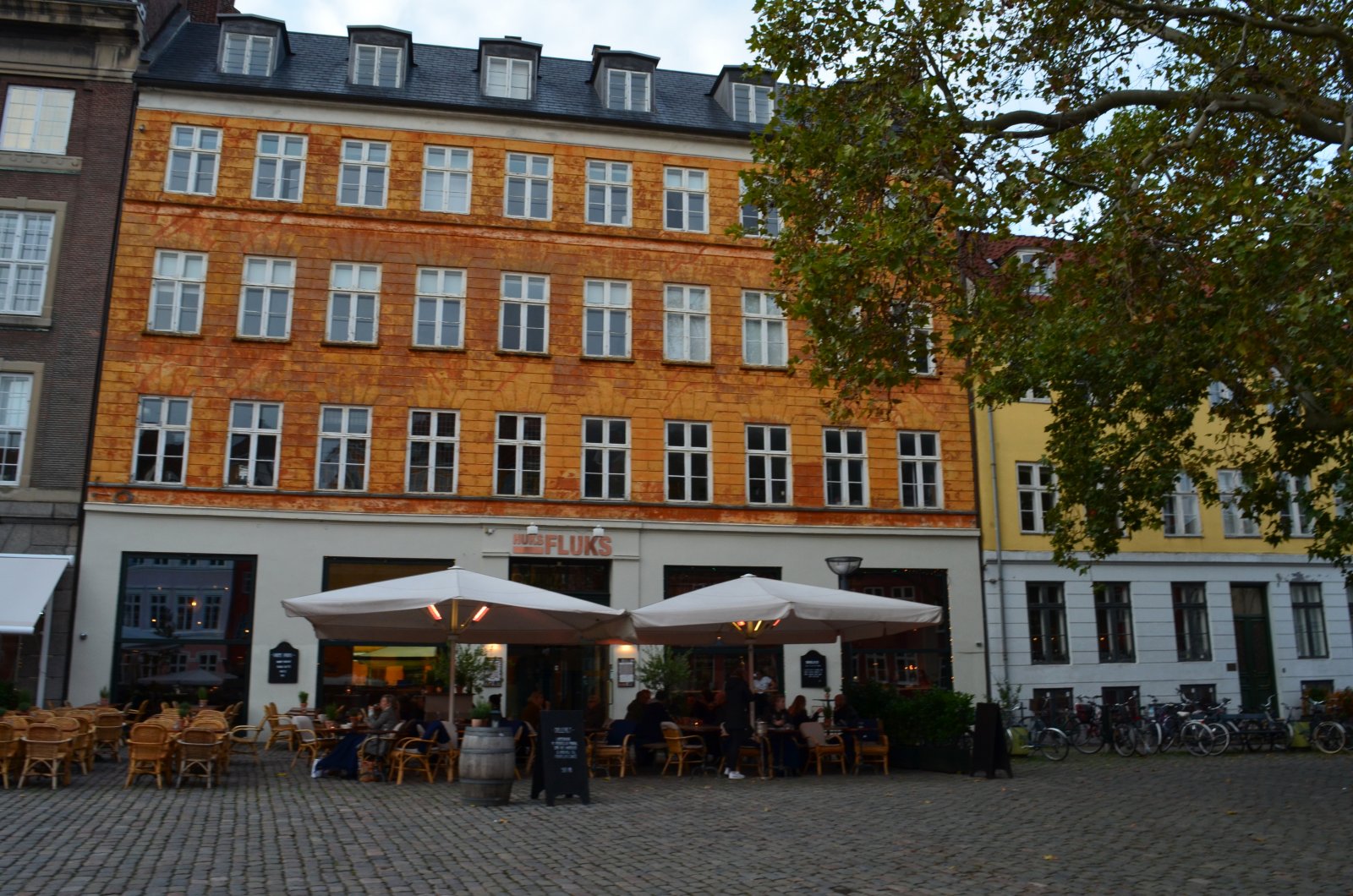 15.JPG