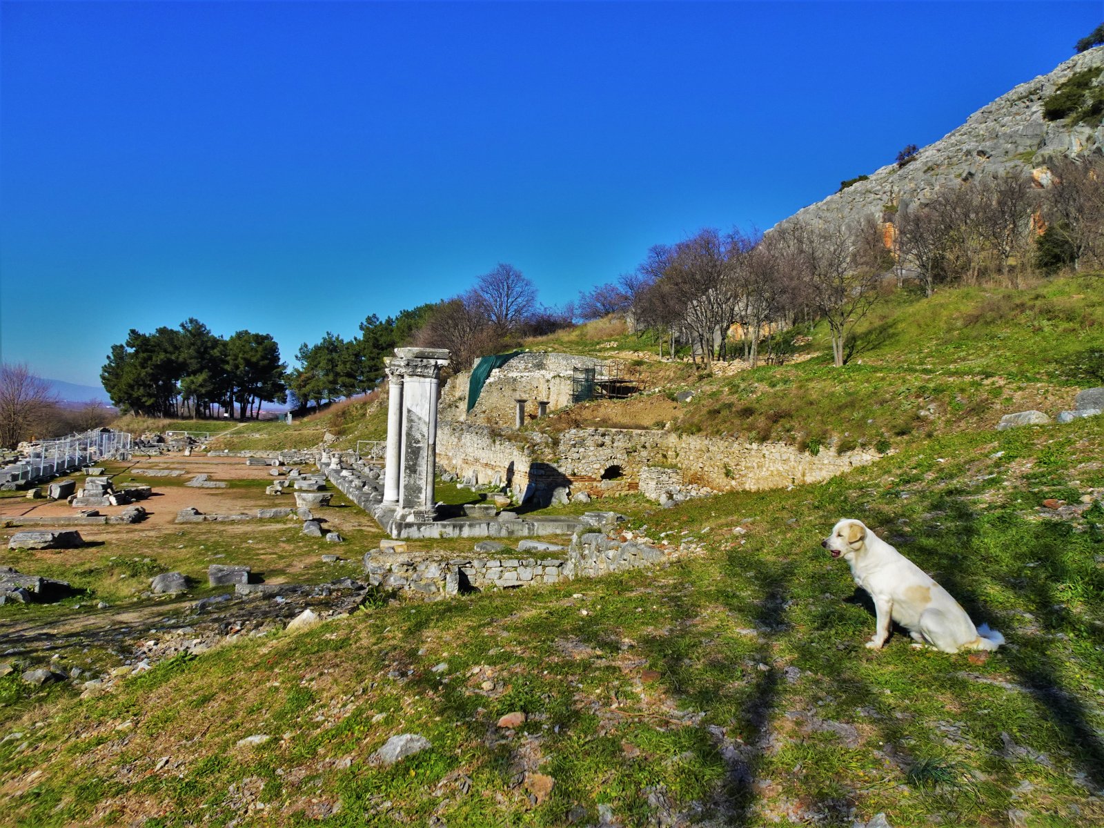 DSC02193 (2).JPG