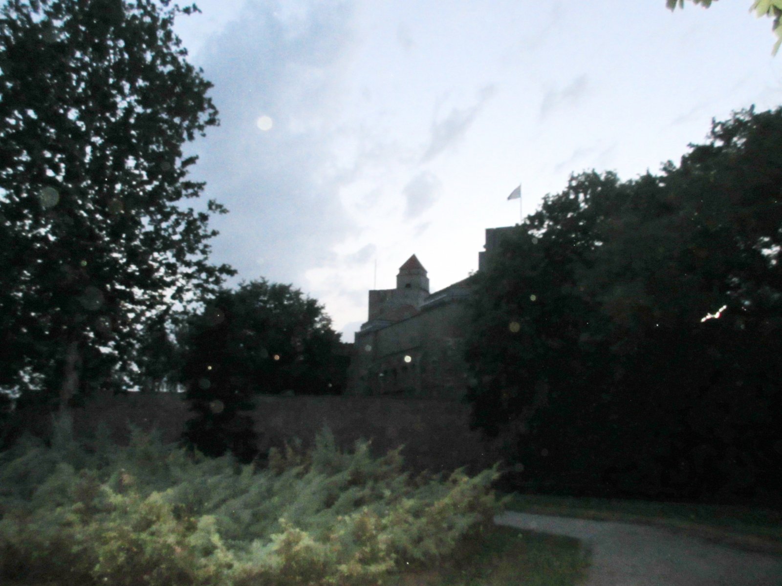 IMG_3280.JPG