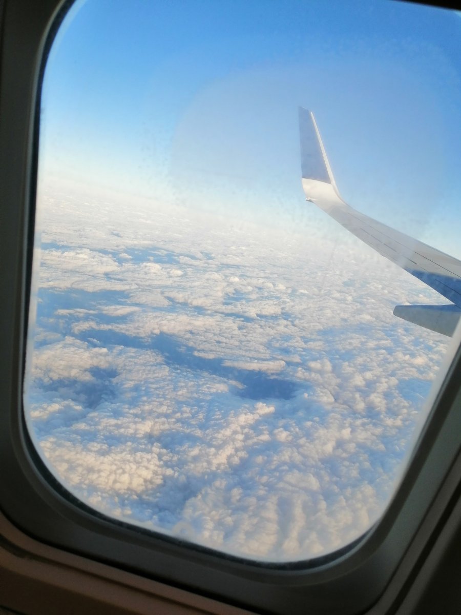 IMG_20200229_173750.jpg