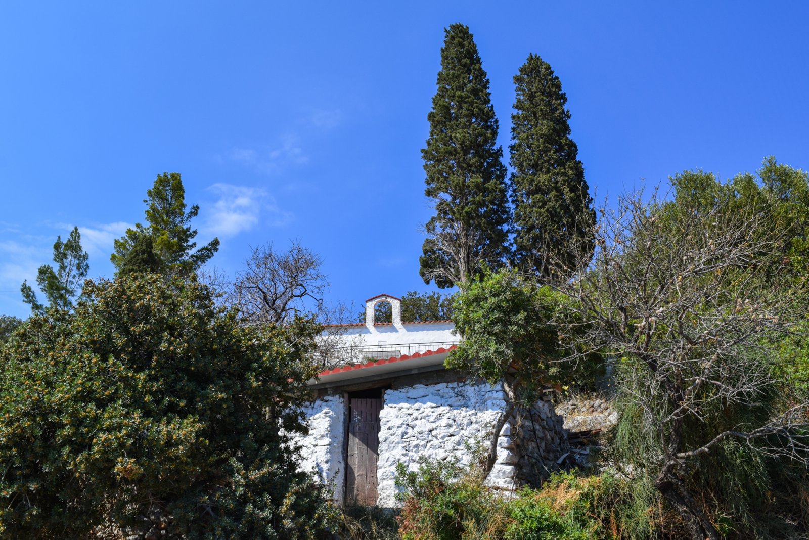 DSC_0122.jpg