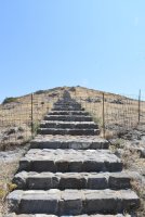 DSC_1580.JPG