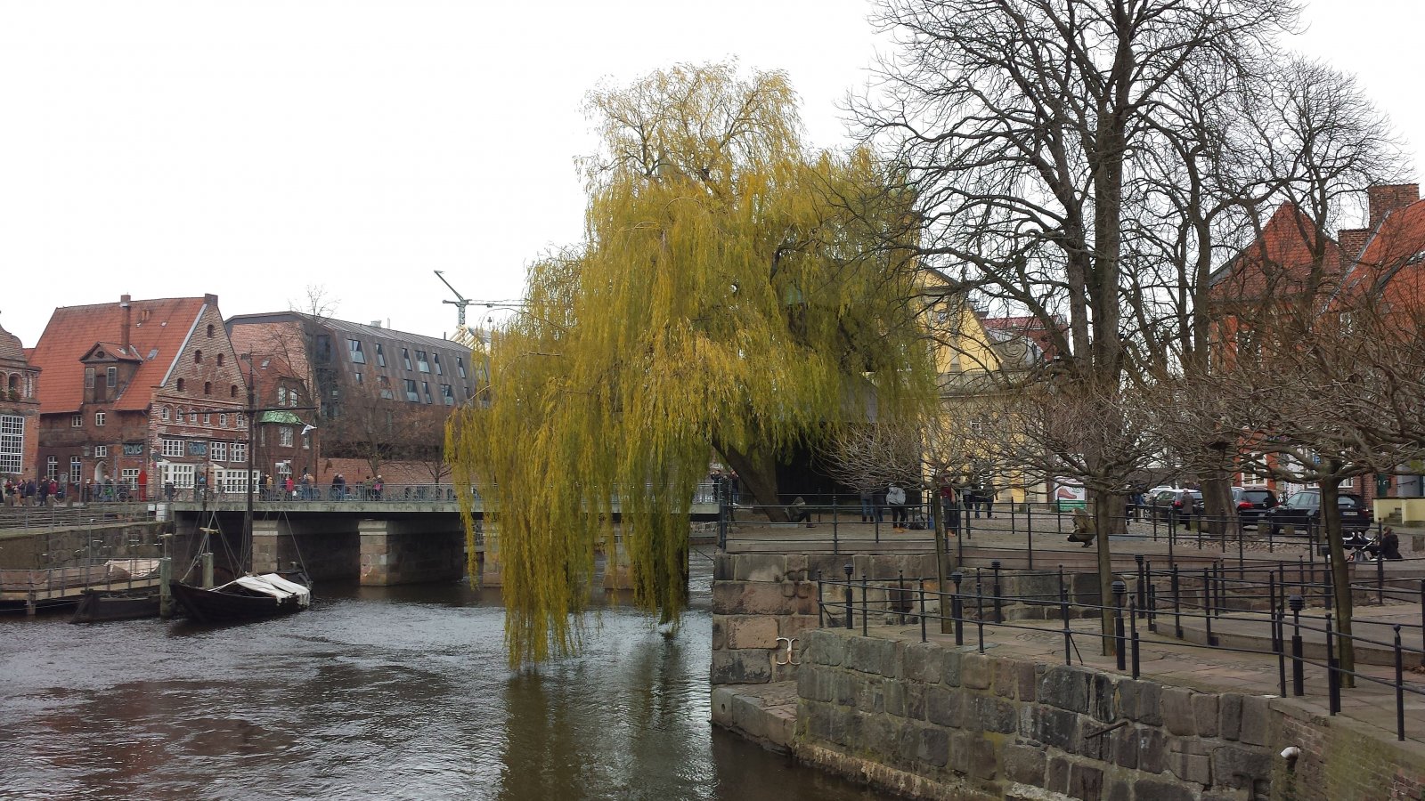 20151205_124842.jpg