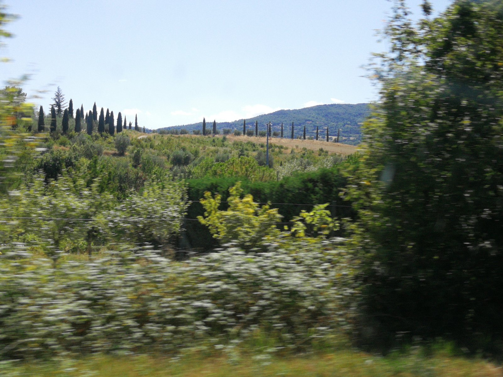 Toscana1.jpg