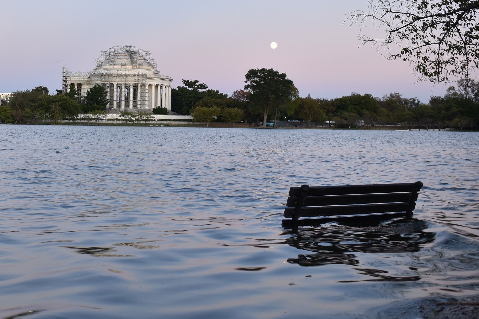 _102. Πλημμυρισμένη Tidal Basin 1.JPG