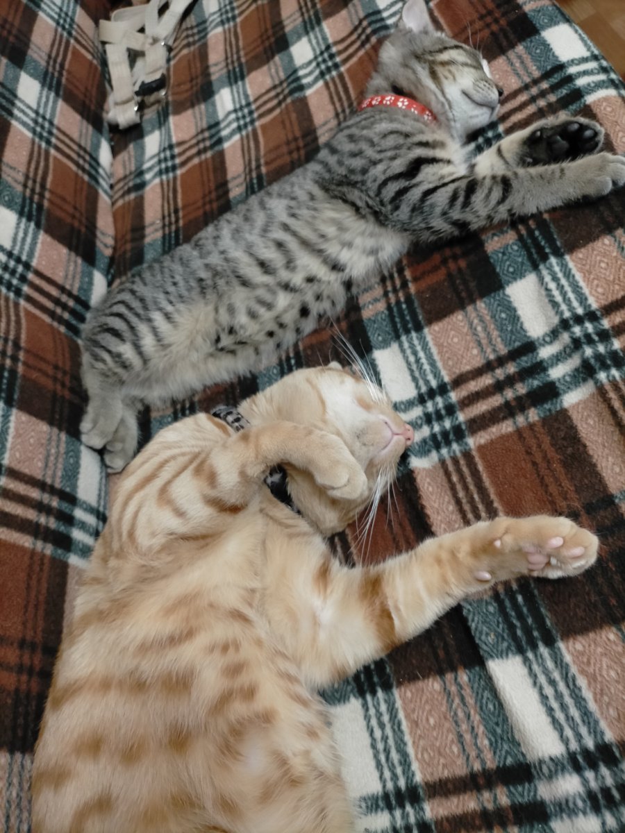 IMG20210118213249.jpg