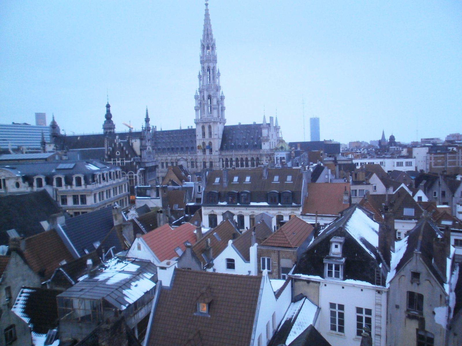 BRUSSELS - BRUGGE - 2013 037.jpg