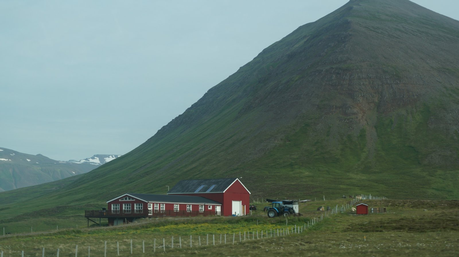 59.JPG