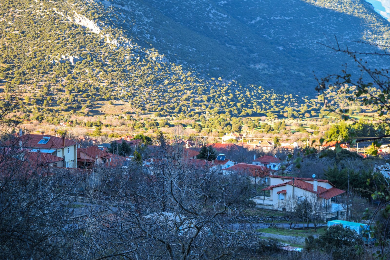 DSC_0624.jpg
