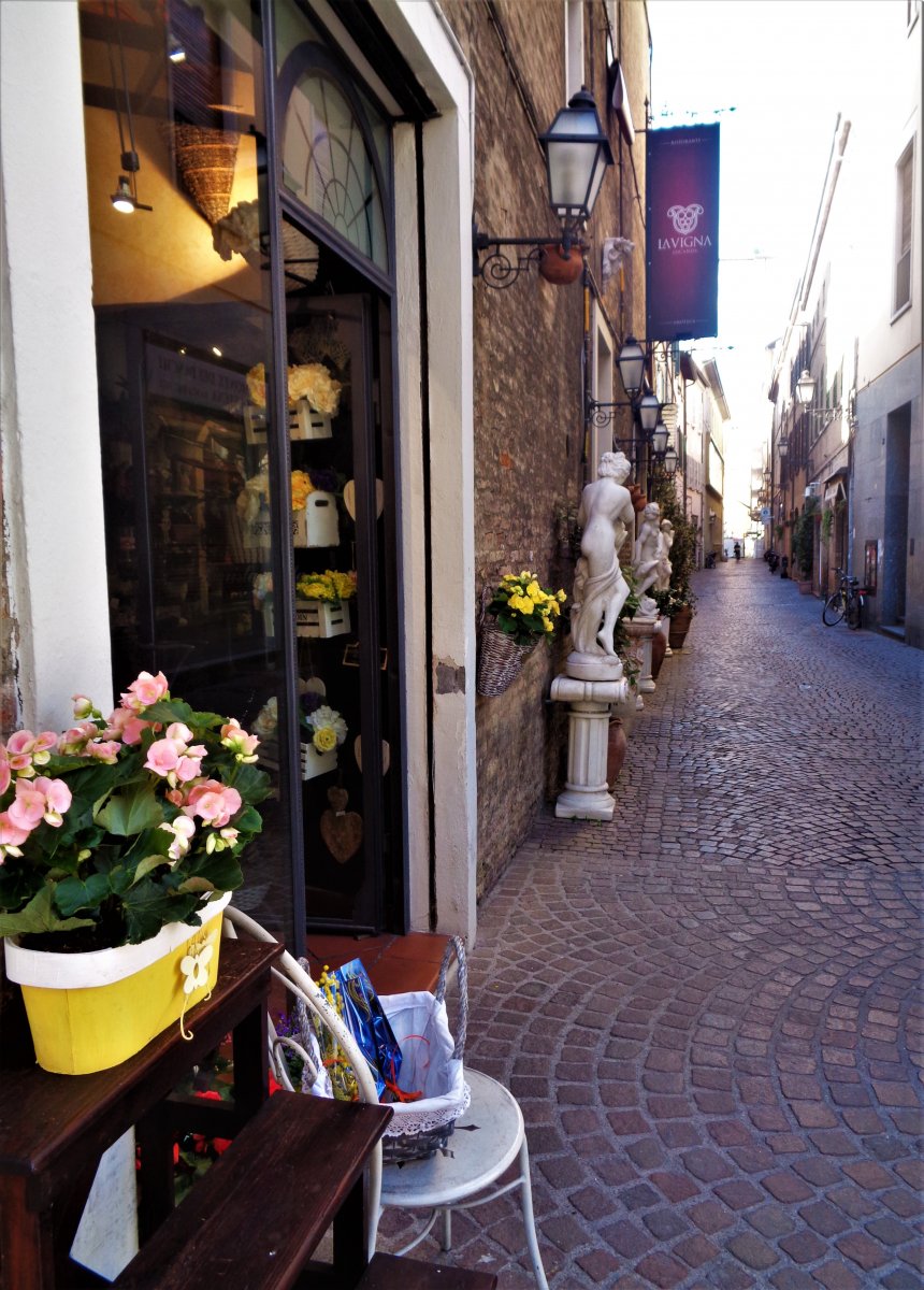 DSC02566 (2).JPG
