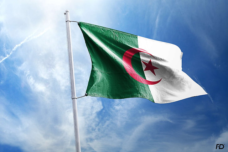 algeria flag.jpg
