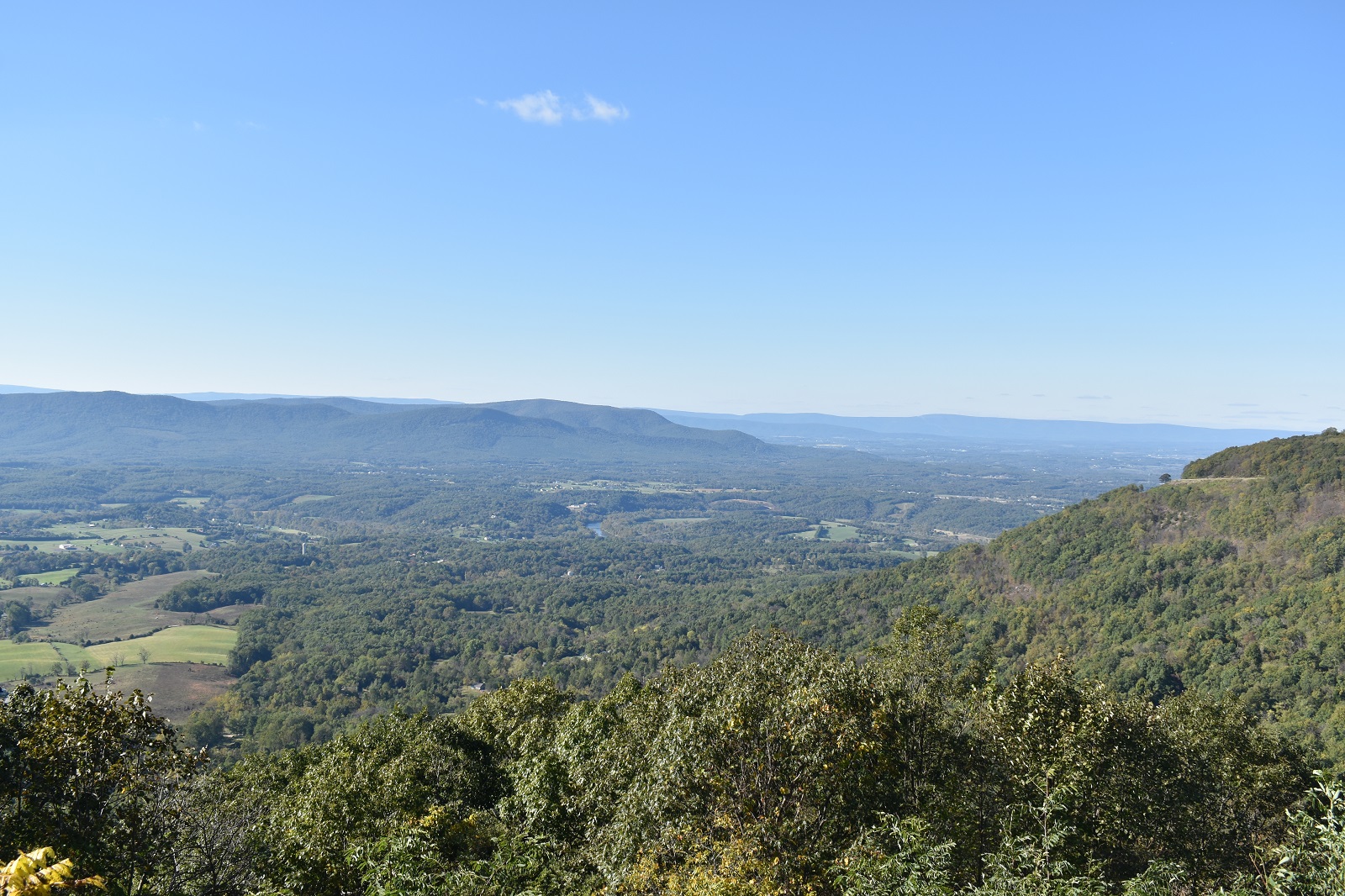 _315. Shenandoah 1.JPG