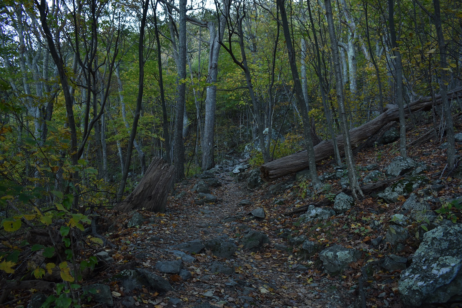 _321. Αρχή Little Stony Man Trail.JPG