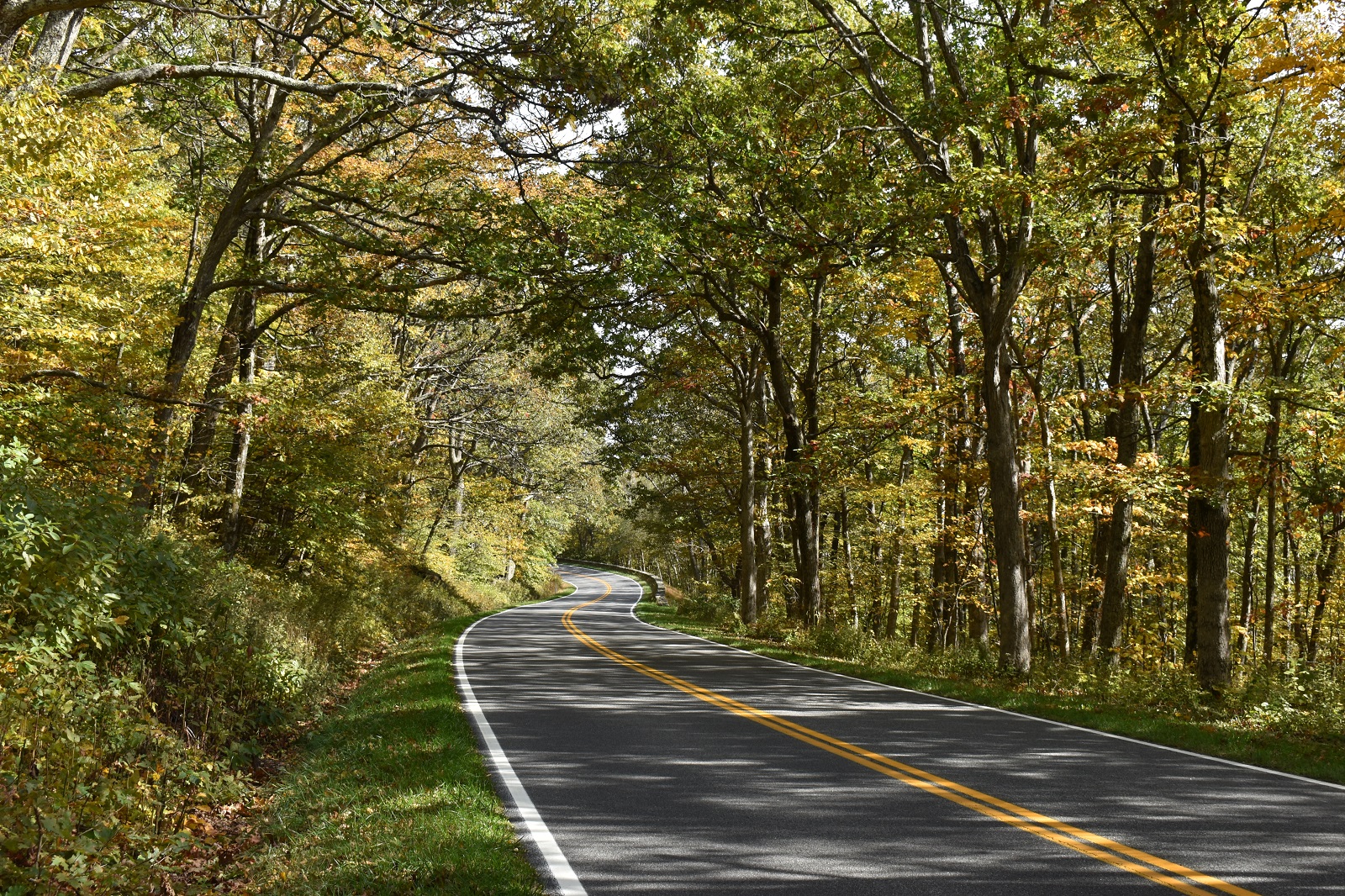 _354. Skyline Drive 1.JPG