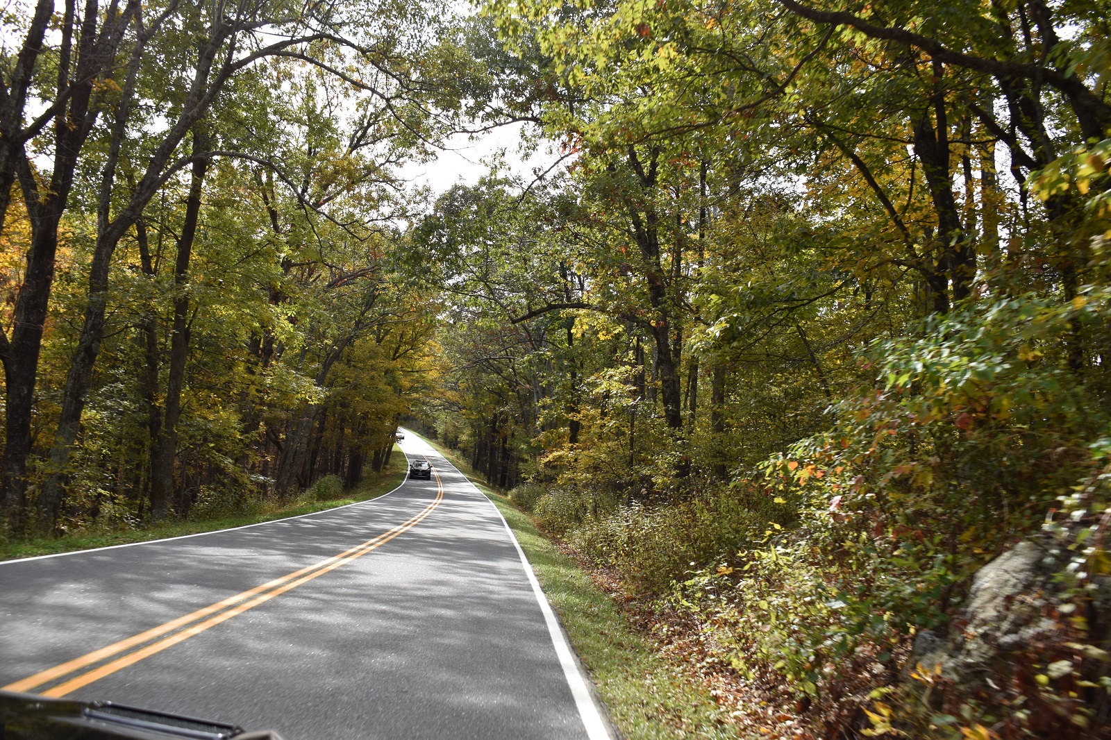 _356. Skyline Drive 3.JPG