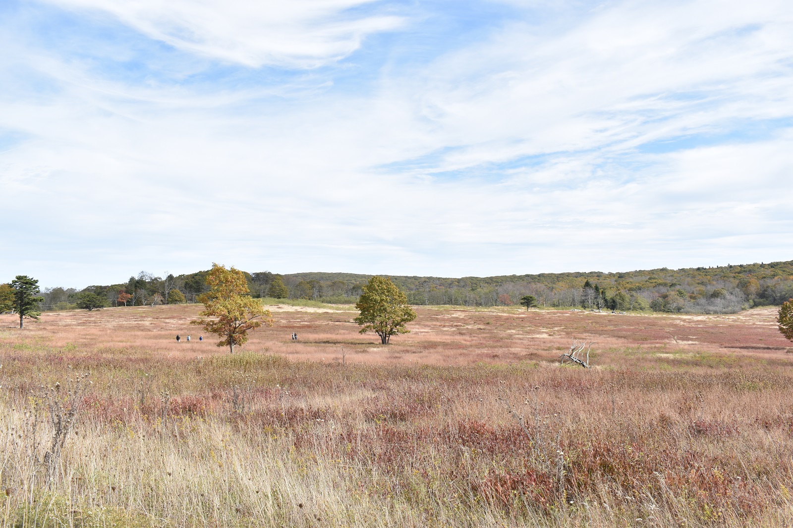 _357. Skyline Drive 4.JPG