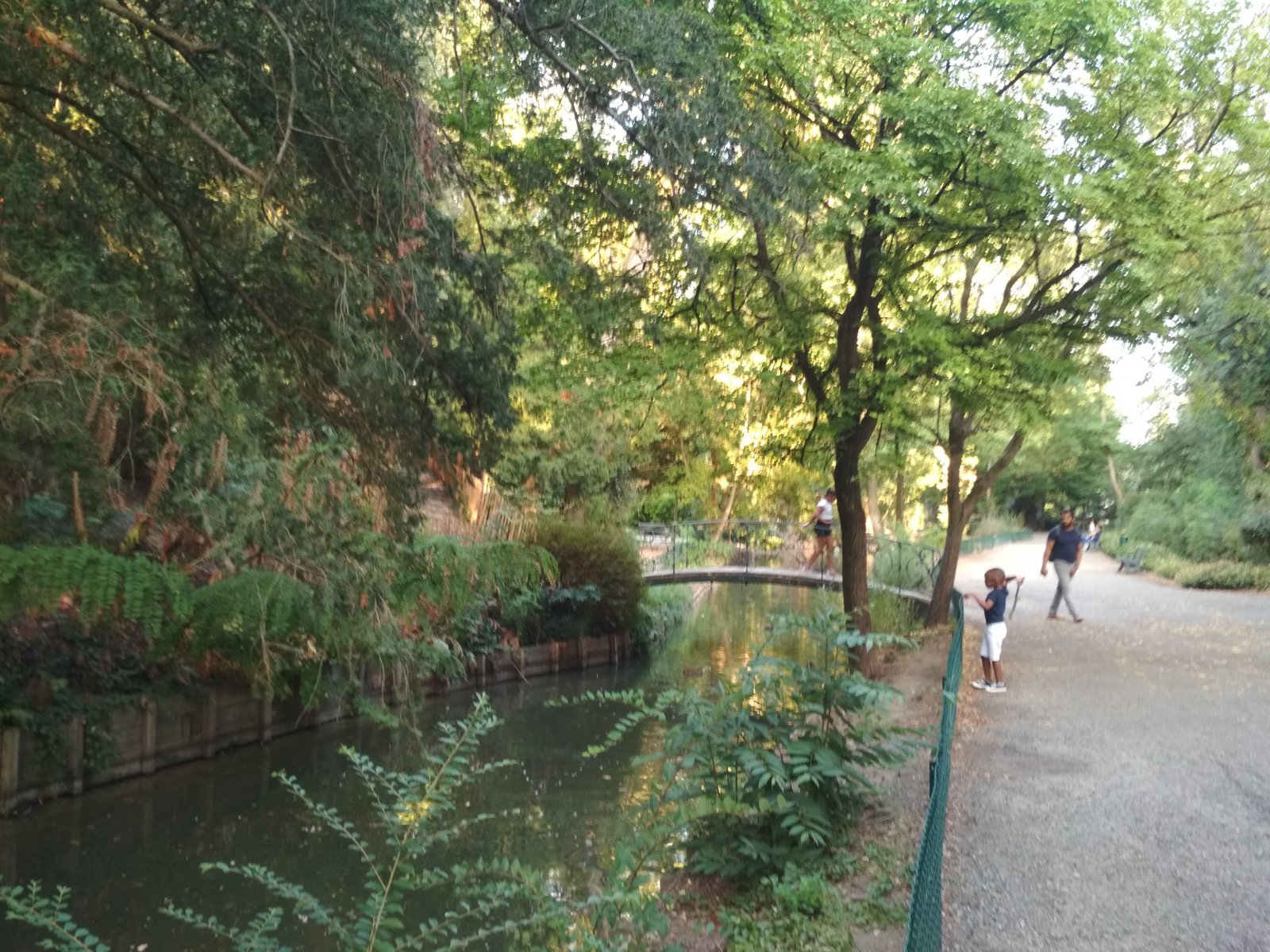 IMG_20200814_194952.jpg