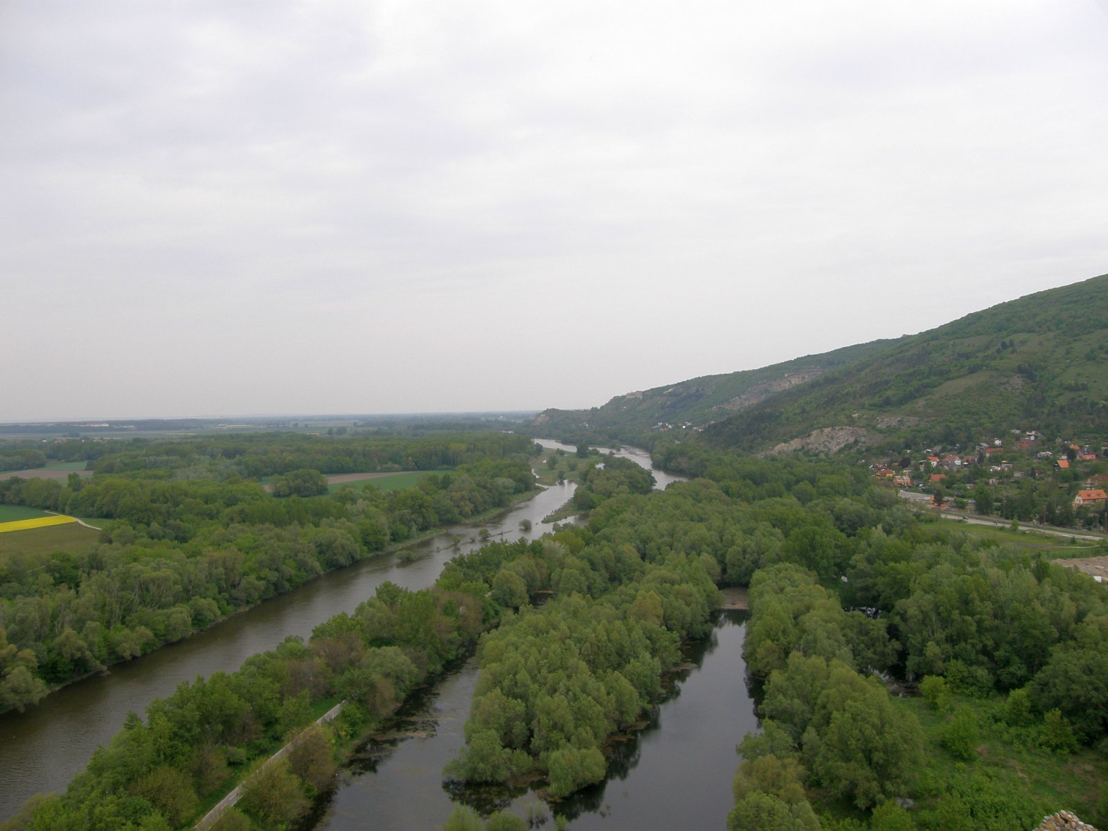 P4291846.jpg