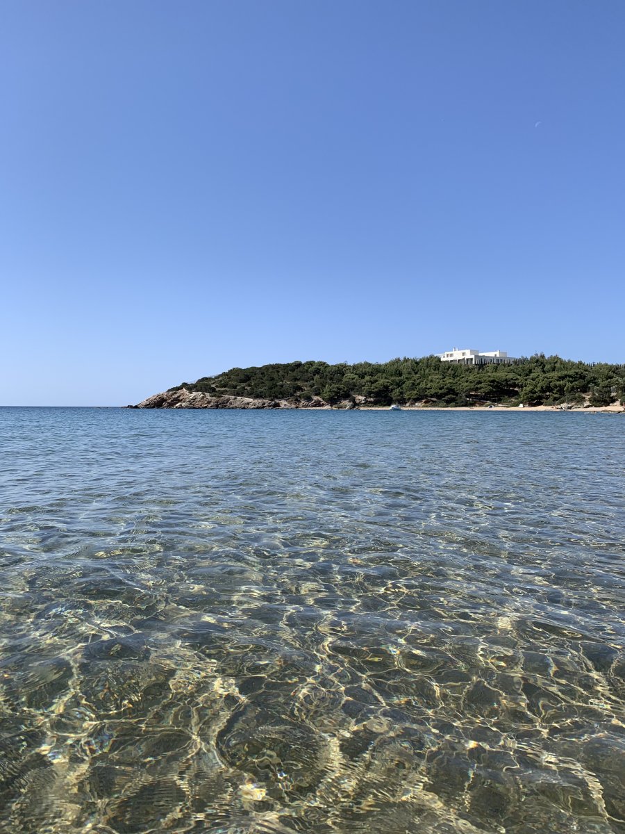 535E8D80-396F-481B-9C68-9A4D6E7B6162.jpeg
