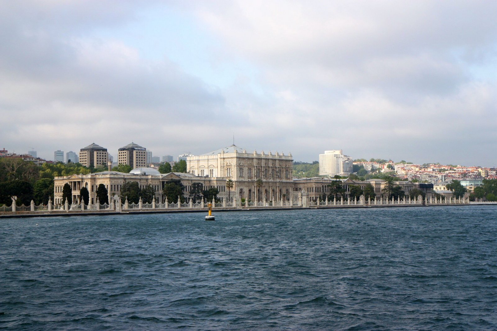IMG_8779.jpg