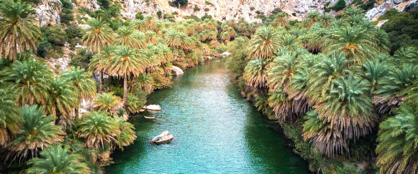 Activities_RiverTrek_PalmForestOfPreveli_Header.jpg