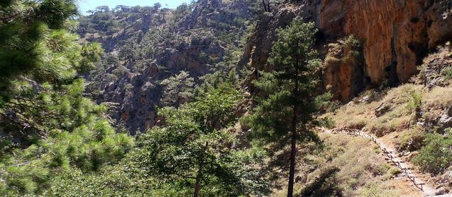 agia-irini-gorge-crete-path.jpg