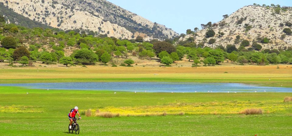 wetlands-of-crete-omalos-viannou.jpg